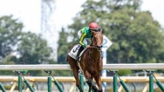 【函館2歳S枠順確定】サトノカルナバルは5枠7番、エンドレスサマーは1枠1番