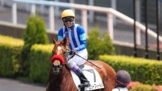 武豊騎手 今週の騎乗馬…函館2歳Sの相棒は新馬圧勝のリリーフィールド