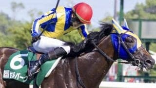 小倉芝は逃げ先行馬が優勢 セルバーグの粘り込みがあるかも