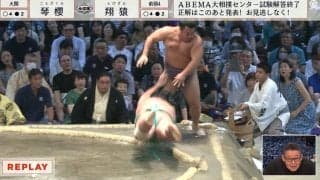土俵下に落下した力士が“元祖スー女”とあわや激突の珍場面 “危うし”なリアクションに「それでも笑顔w」視聴者盛り上がる