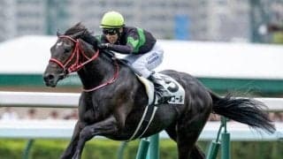【札幌5R新馬戦結果】ドゥラメンテ産駒キングスコールがレコードV