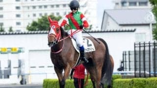【アイビスSD】チェイスザドリーム、ウイングレイテストらが登録