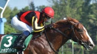 【先週のJRA抹消馬】昨年の新潟記念覇者ノッキングポイント、ダート短距離4勝のメイショウミライなど