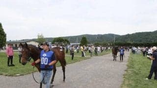 【セレクションセール2024】初日は総額32億円超え JpnI馬テオレーマの半弟が1億円で落札