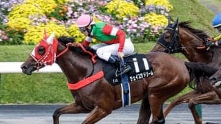 【アイビスSD想定騎手】チェイスザドリームは坂井瑠星騎手、ウイングレイテストは松岡正海騎手