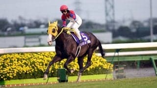 史上唯一のW制覇 韋駄天カルストンライトオの偉業から20年