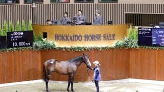 【セレクションセール2024】3日間の売却総額は71億9760万円で過去最高 最終日は砂の女王サンビスタの孫が5200万円で落札