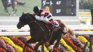 【アイビスSD予想】AIの推奨は近走勢いに乗る実績馬 取捨を悩ます未知数のコース適性が妙味生む？