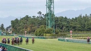 アイビスSDで内ラチ沿いを選択した馬たちの成績は？ “第二のバカラクイーン”誕生はあるか