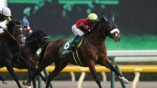 18年の共同通信杯覇者オウケンムーンが抹消 今後は地方競馬に移籍