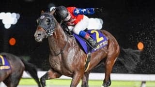 【大井・サンタアニタT結果】デュードヴァンが豪快に差し切って重賞2勝目を挙げる