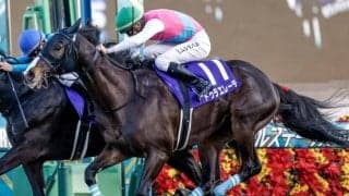 【エルムS出走馬・騎手確定】ドゥラエレーデ＆武豊騎手、ミトノオー＆松山弘平騎手など14頭