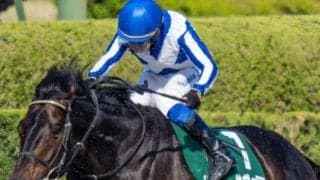 “エルムS男”といえるかも？ 大沼S覇者とタッグで7年ぶり「6勝目」狙う