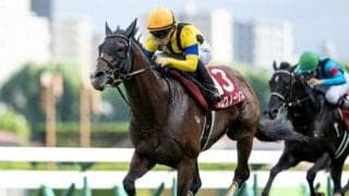 【札幌記念想定】プログノーシス、シャフリヤールなど9頭