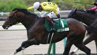 史上初の快挙なるか 84年以降最多4頭の関東馬が小倉記念V狙う