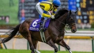 重賞2勝マスクトディーヴァの半弟が今週末デビュー 圧巻のパフォーマンスに期待