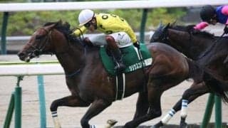 【今日の注目ポイント】中京で小倉記念と新潟で関屋記念の2重賞