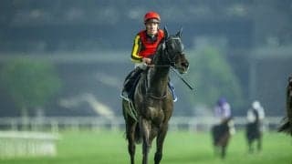 【札幌記念登録馬】シャフリヤールなど12頭