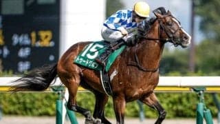 “京都の鬼”トゥードジボンが新潟重賞を制した理由とは？ 好調イスラボニータ産駒の適性を分析