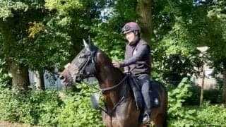 J.オブライエン師「少し休んで凱旋門賞の準備をすると思う」武豊とコンビを組むアルリファー