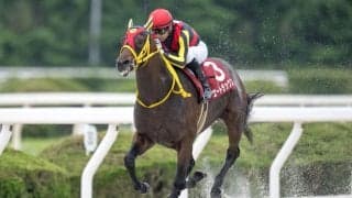 【北海道スプリントC】JRAエートラックスは5枠6番