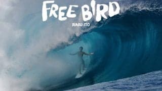 日本が有するトップサーファー伊東李安琉のシグネチャーフィルム【FREE BIRD】上映会アフターレポート