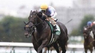 【キーンランドC想定馬・騎手】ナムラクレア、オオバンブルマイなど19頭