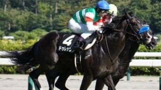 「8月の新潟芝2200m戦」は菊花賞に向けても見逃せない!? 今週末に阿賀野川特別と日本海S