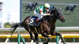 【今日の注目ポイント】中京新馬戦でダノンスマッシュの全妹ハリウッドメモリーがデビュー
