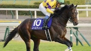 札幌芝は圧倒的に前有利 ノースブリッジの押し切りがあるぞ