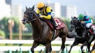 【AI予想・札幌記念】人気上位が順当に結果を残す一戦 本命はGI未勝利もポテンシャル十分な実力馬