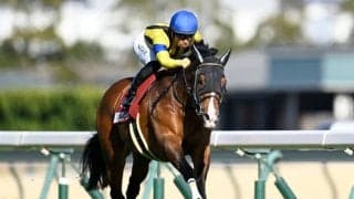 【今日の注目ポイント】札幌で札幌記念と中京でCBC賞の2重賞