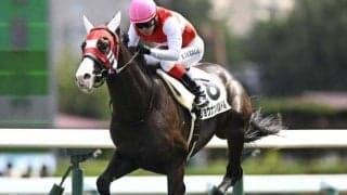 【札幌5R新馬戦結果】3億円ホース・ショウナンバルドルがV ブリックスアンドモルタル産駒