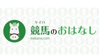 【新馬/中京5R】3連単155万超の波乱…ビップデイジーがデビュー勝ち