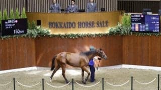 静内農業高校の生産馬が150万円で落札「父のように世界を舞台に活躍してほしい」