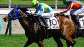 札幌芝はロベルト系に注 キーンランドCはモーリス産駒のモリノドリームで勝負だ