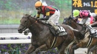 札幌芝は差しもOK モレイラ騎手のエイシンスポッターが穴かも