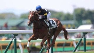 【札幌2歳S登録馬】連勝中アスクシュタインなど15頭