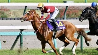 【愛チャンピオンS】シンエンペラーがアイルランドに到着