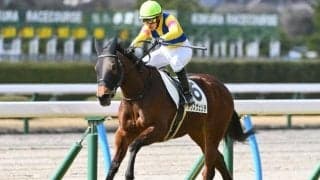 【新潟記念予想】古馬重賞Vが最大の強調材料？ AIは今年のマーメイドS覇者に注目