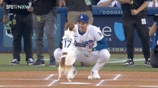 球場中がほっこり！ 大谷翔平、投手・デコピンに思わず“破顔” 「ストレートですね」前代未聞の始球式に現地カメラも大注目