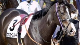 半兄はGI・3勝のエフフォーリア ヴァンガーズハートが惜敗続きに終止符なるか