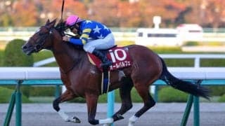 オールパルフェの競走馬登録抹消…2歳重賞で活躍