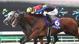 【セントウルS登録馬】ママコチャなど18頭
