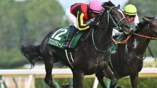 【京成杯AH見どころ】堅実無比アスコリピチェーノが古馬を一蹴する