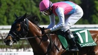 【セントウルS予想オッズ】ピューロマジックが予想1番人気