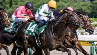 兄は昨年の覇者ソウルラッシュ 京成杯AHで兄弟重賞Vなるか