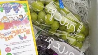 【季節限定！巨峰＆マスカット貰える】団体戦大会開催 