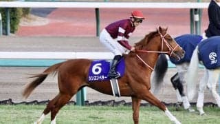 【愛チャンピオンS】C.デムーロ「ソットサスに似ている部分ある」シンエンペラー出走