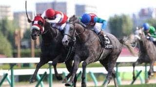 2024コーフィールドカップ、コックスプレート、メルボルンカップ（G1）に日本馬が予備登録